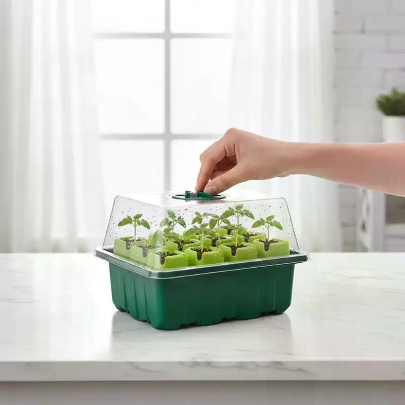 Zestaw do rozsady: mini szklar – Dome Propagation Kit recenzja i cena