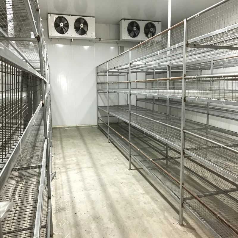 Hydroponiczna farma kontenerow – Urban Farming Hydroponics recenzja i cena