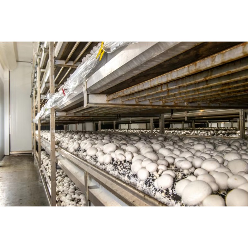 Hydroponiczna farma kontenerow – Urban Farming Hydroponics recenzja i cena