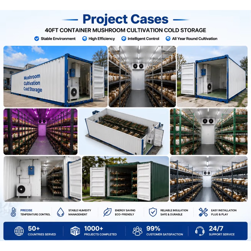 Hydroponiczna farma kontenerow – Urban Farming Hydroponics recenzja i cena